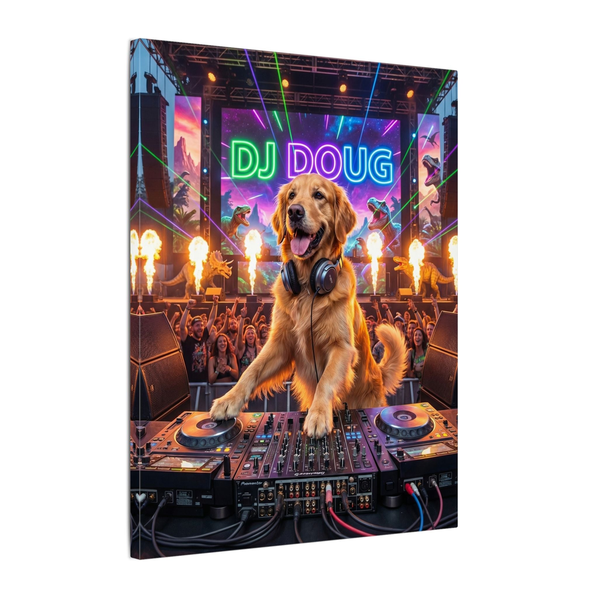 DJ - Canvas