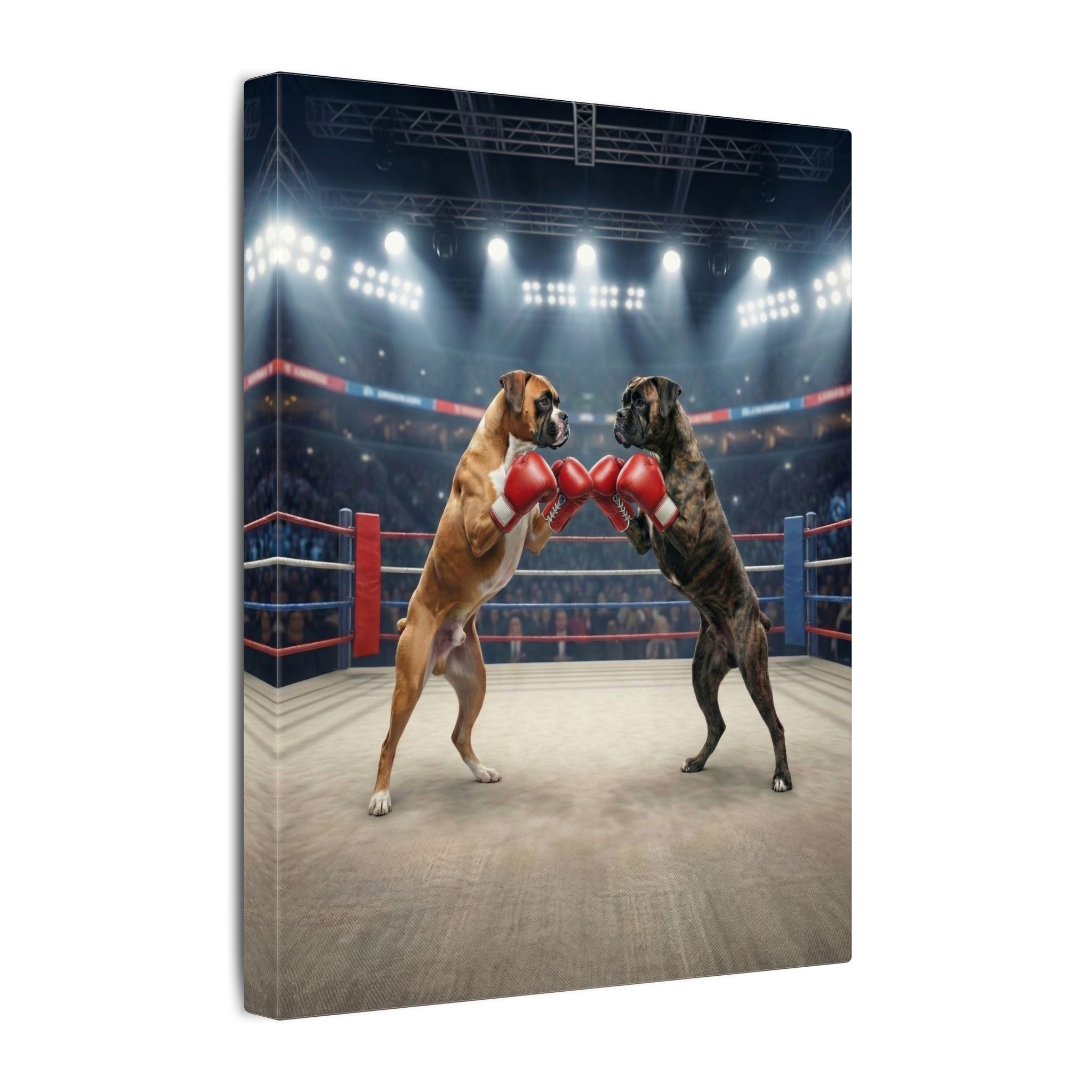 Boxer Battle - Canvas