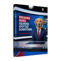 News Anchor - Canvas