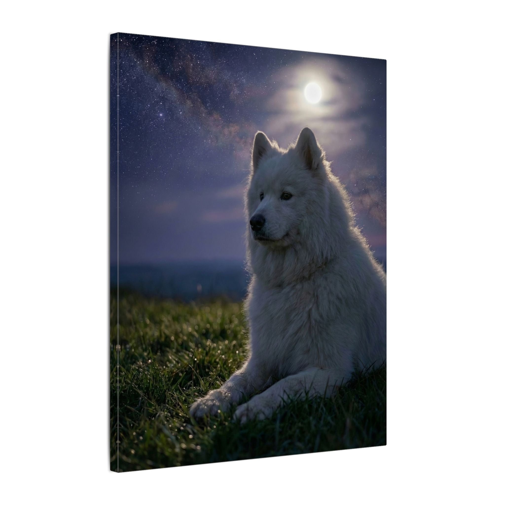 Starry Night - Canvas