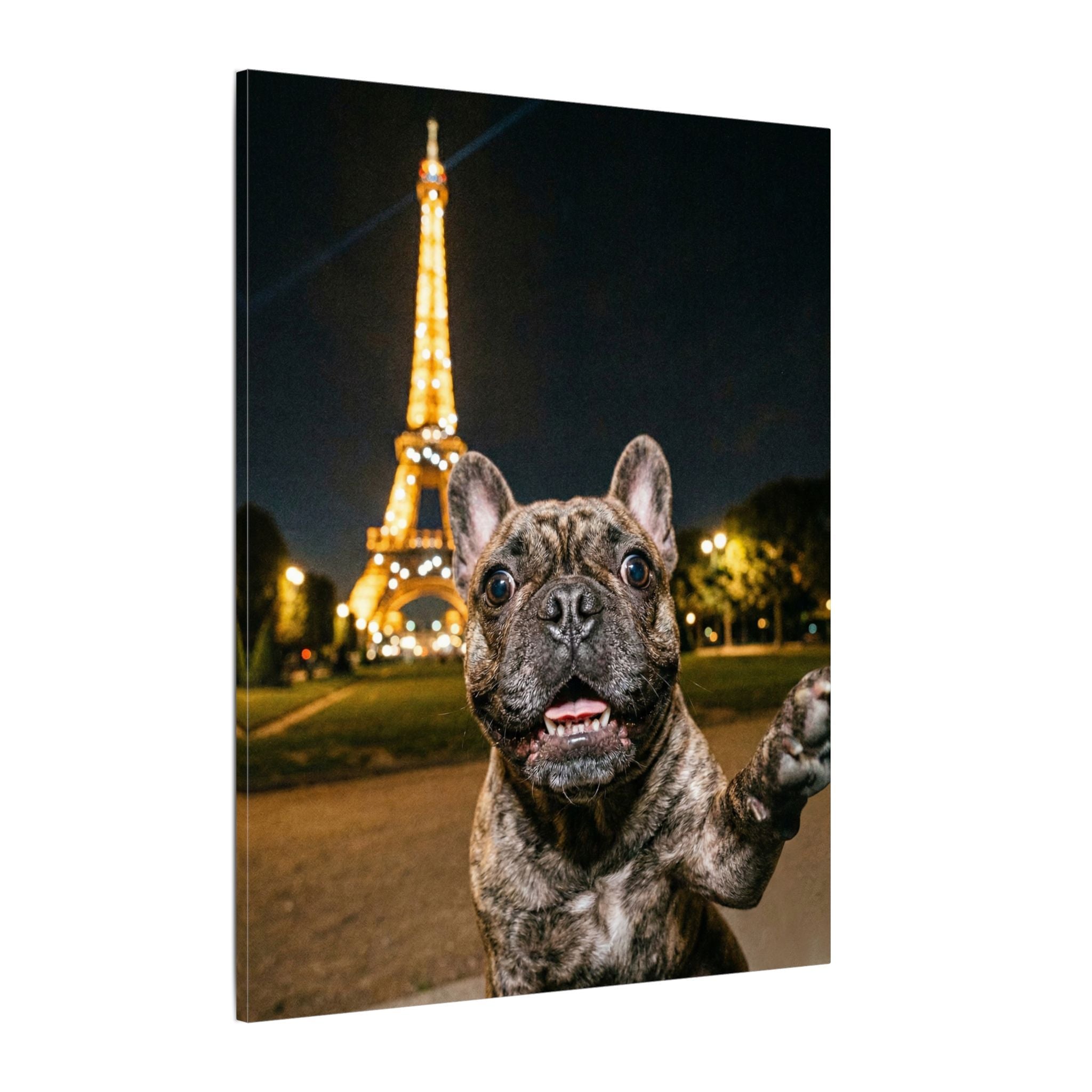 Paris Selfie - Canvas
