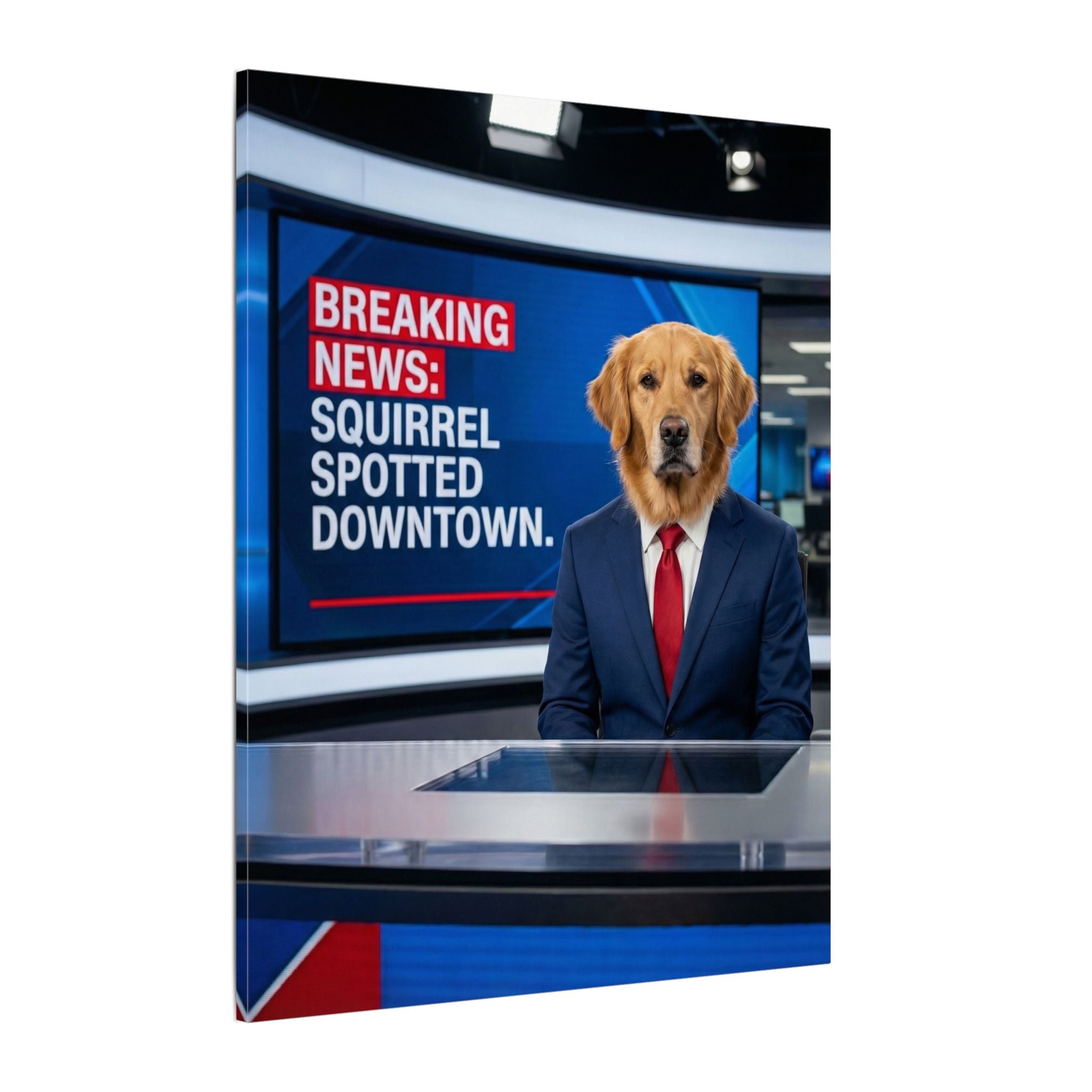 News Anchor - Canvas
