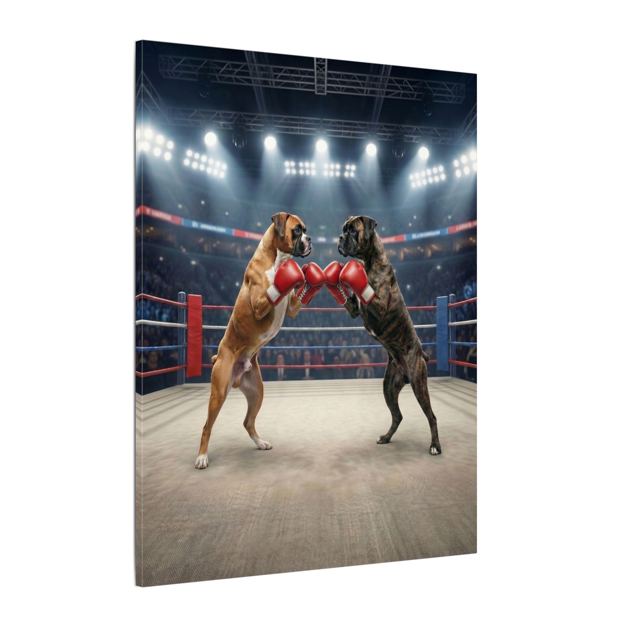 Boxer Battle - Canvas