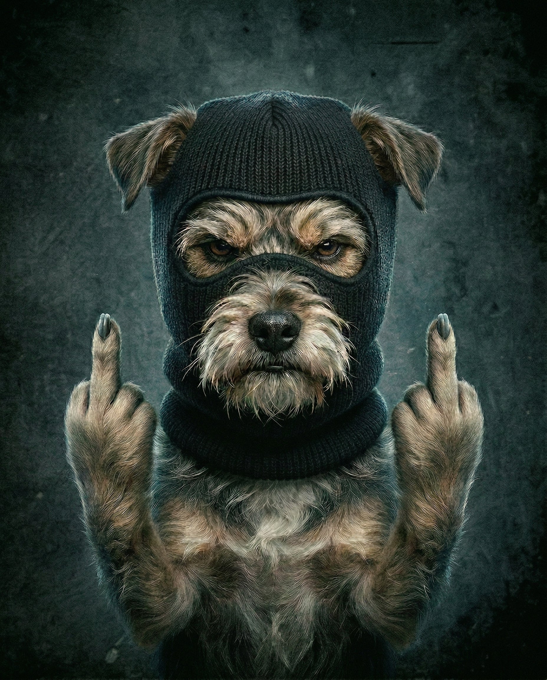 Unleashed - Canvas