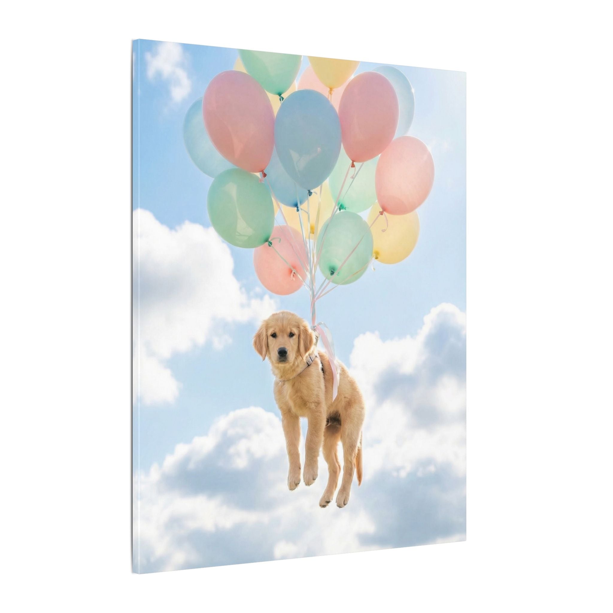 Up - Canvas