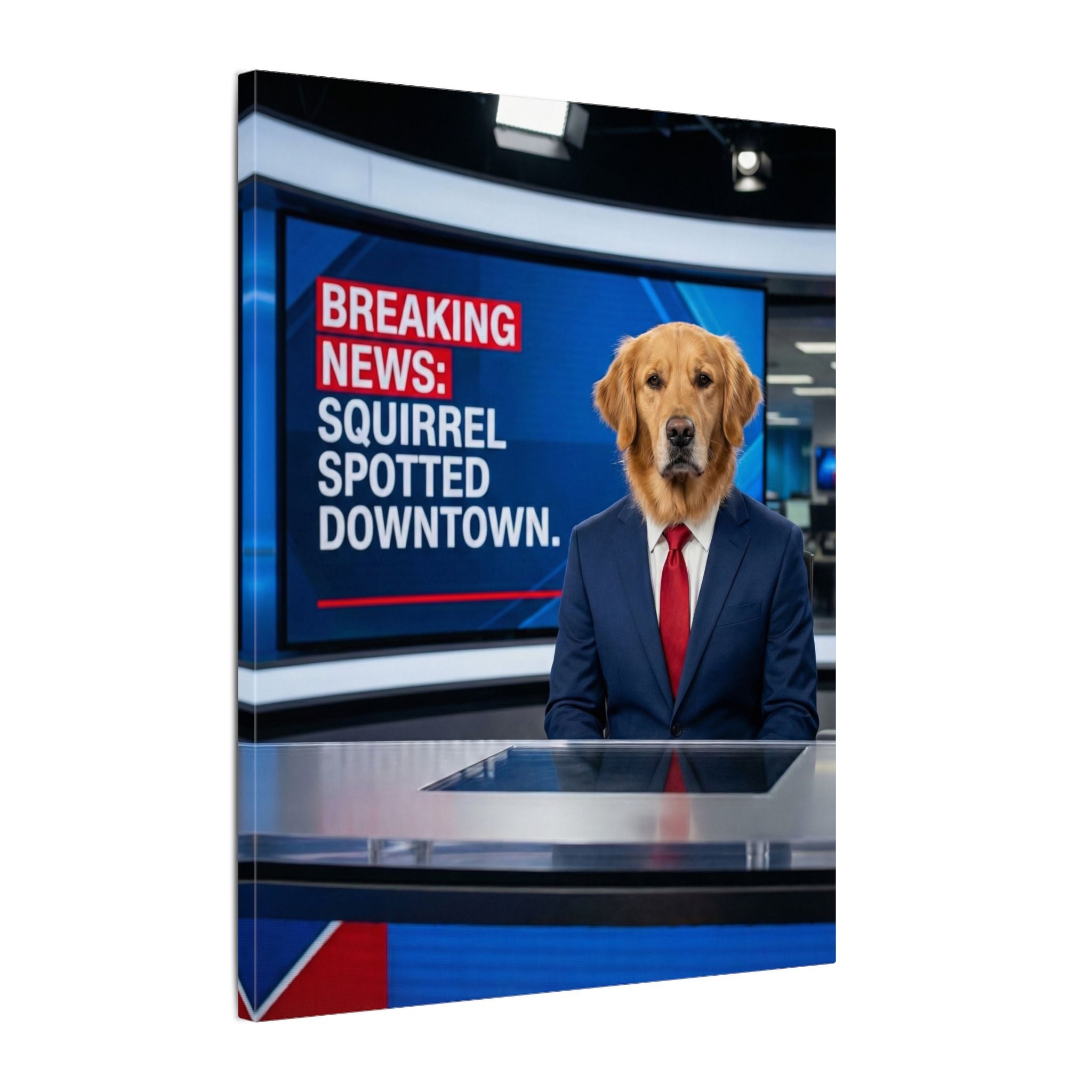 News Anchor - Canvas