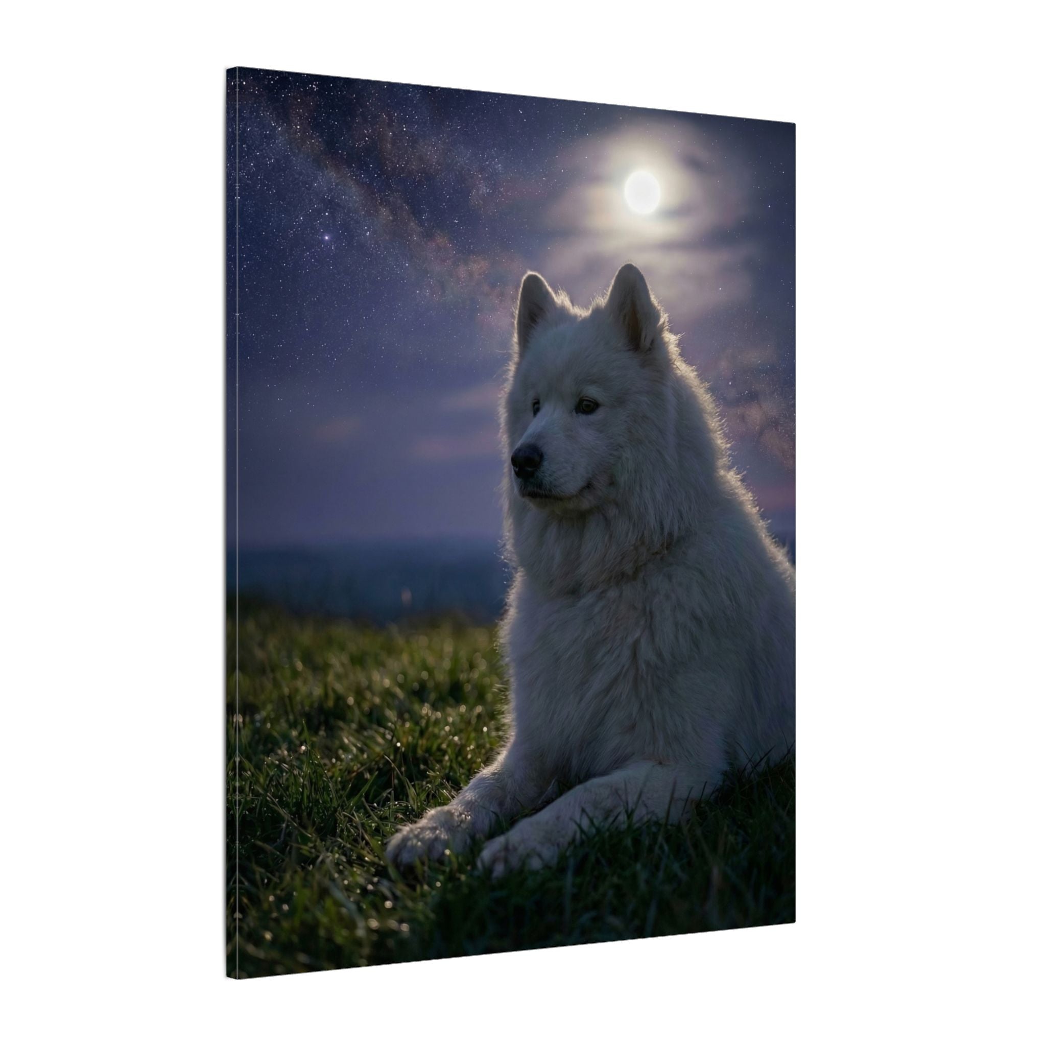 Starry Night - Canvas