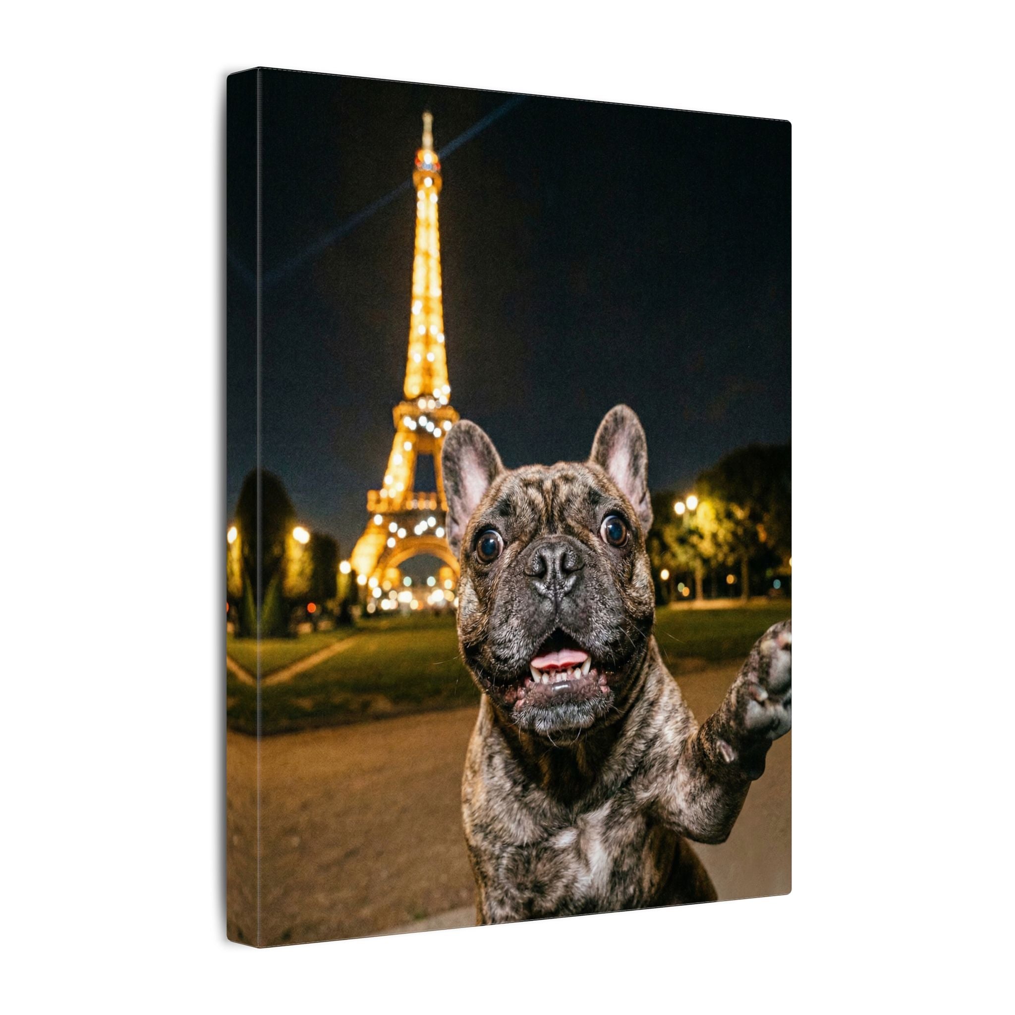 Paris Selfie - Canvas