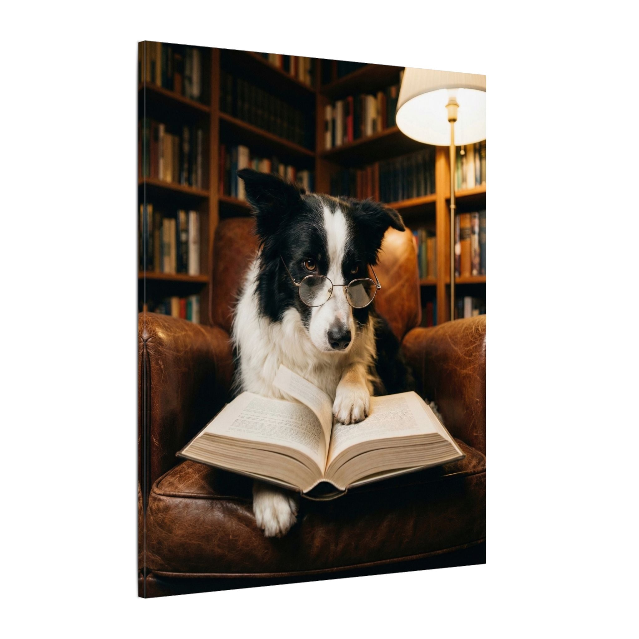 Book Nook - Canvas