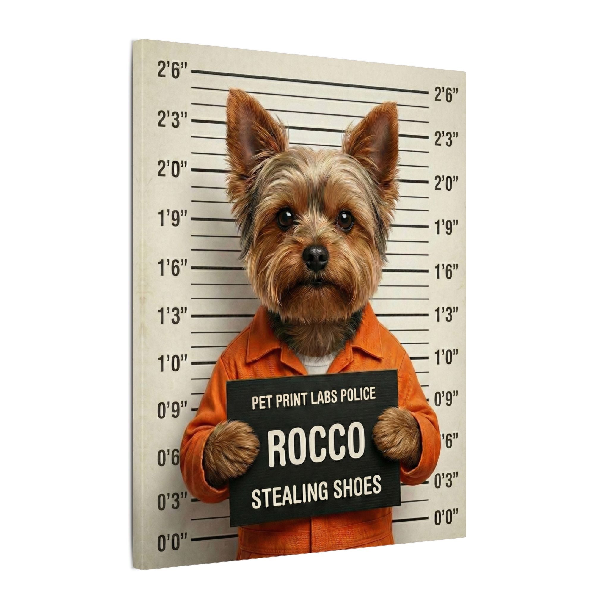 Mugshot - Canvas