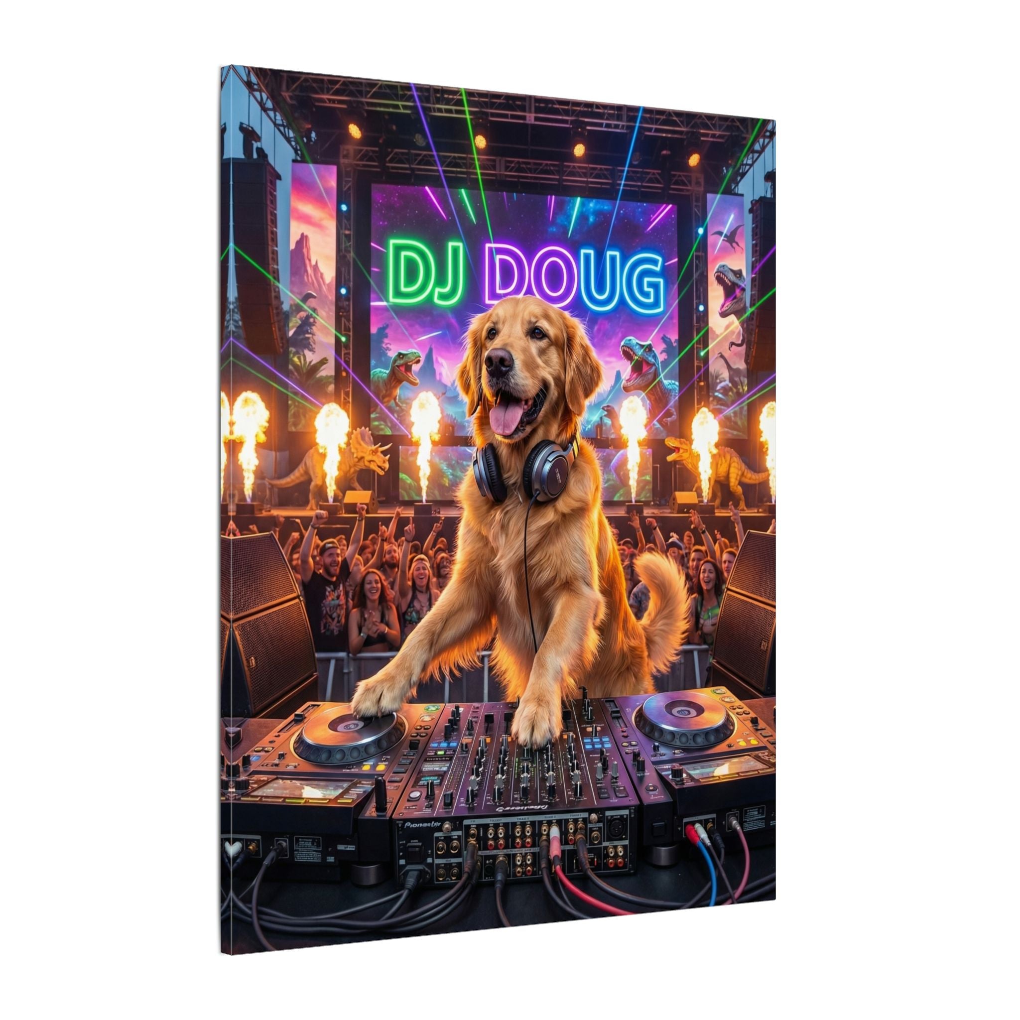DJ - Canvas