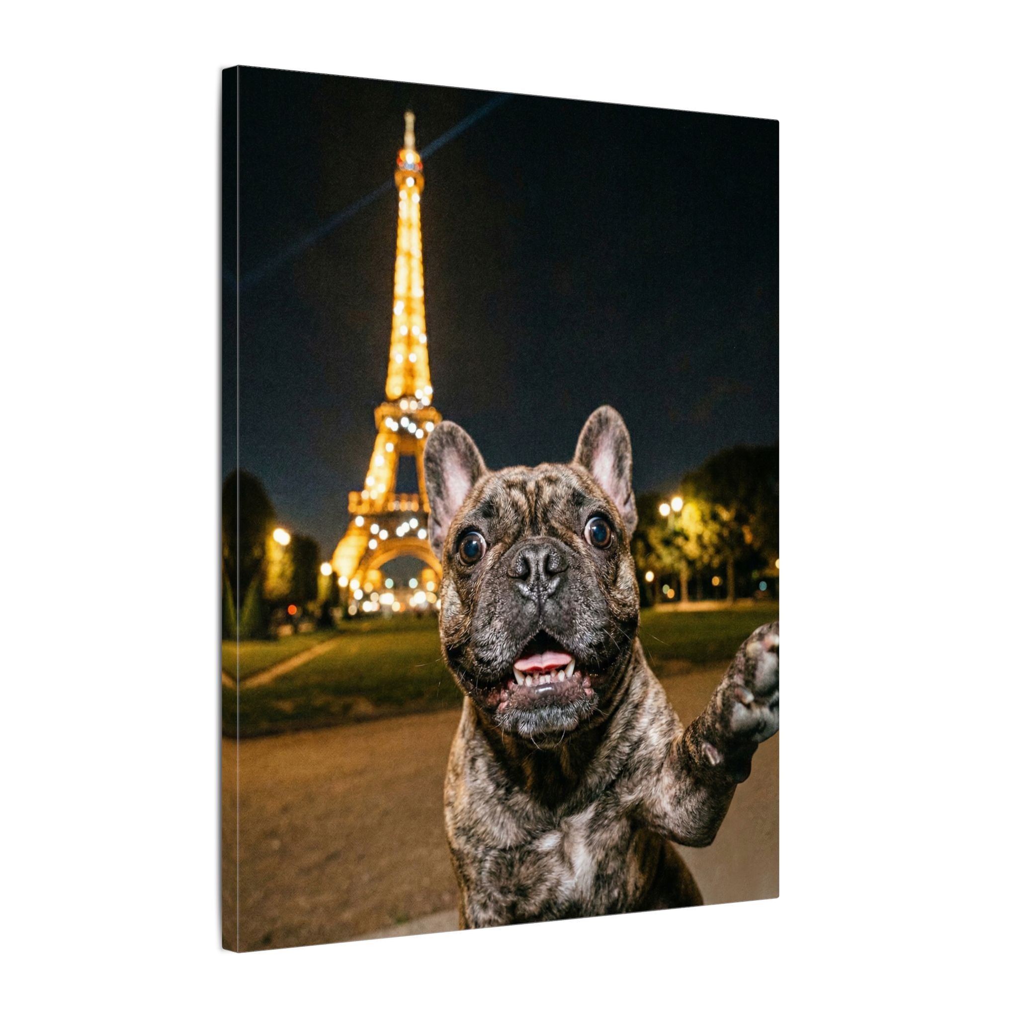 Paris Selfie - Canvas