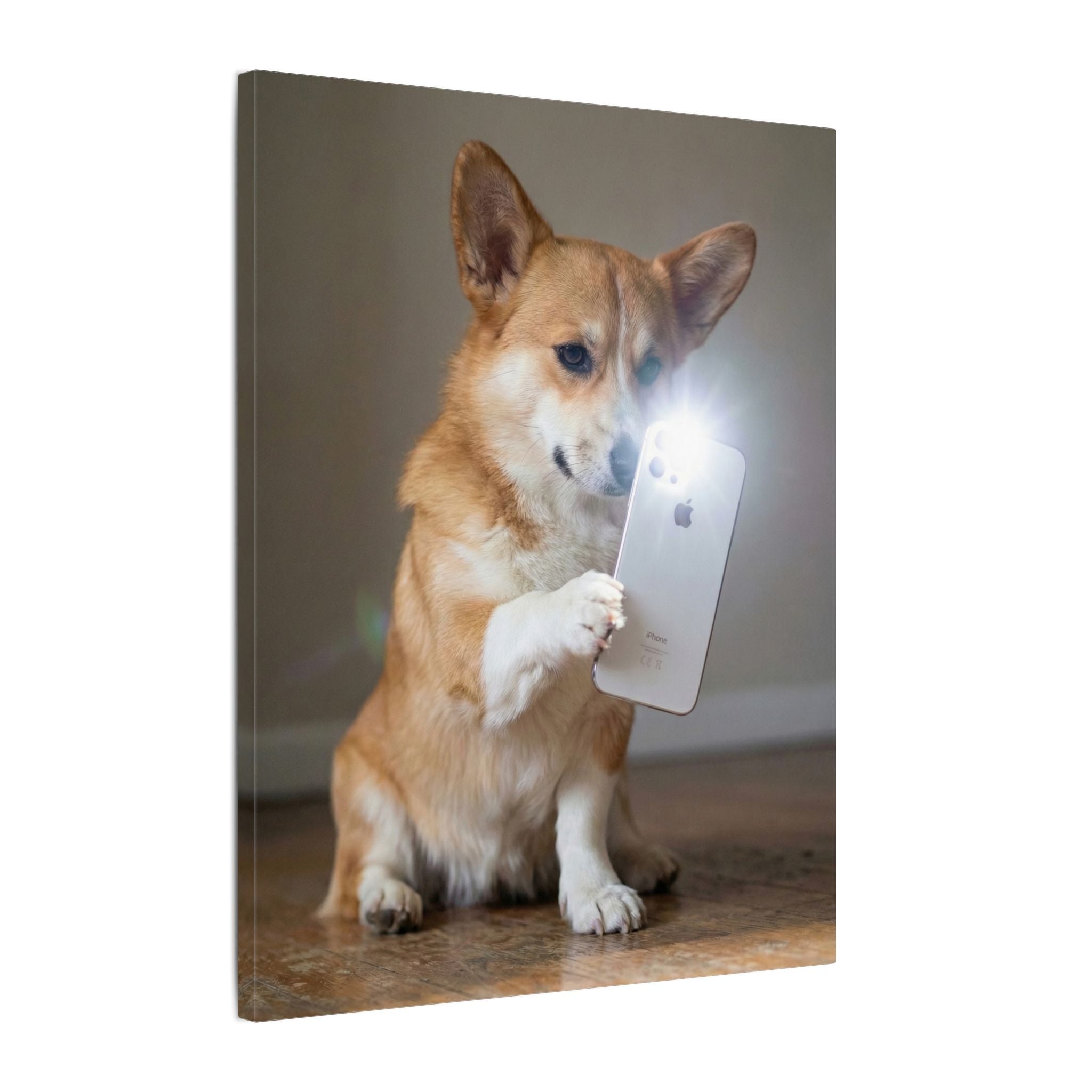 Mirror Selfie - Canvas