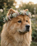Flower Crown - Digital